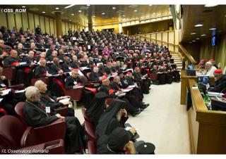 Svedectvo audítorov synody o nábožensky zmiešanom manželstve